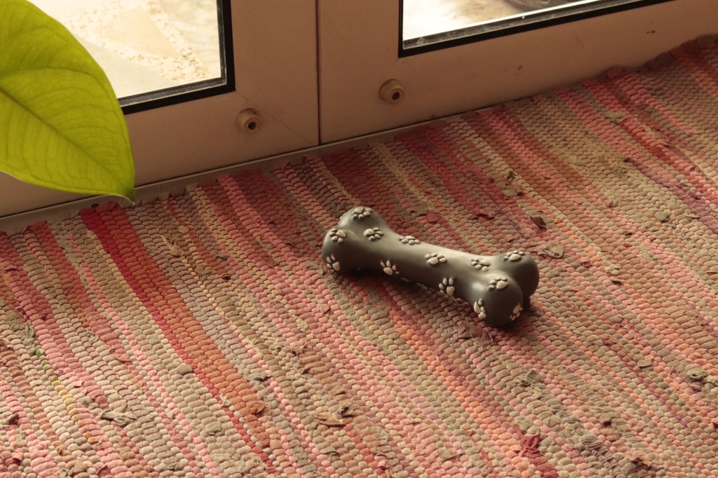 Lost and Found (Ongoing )